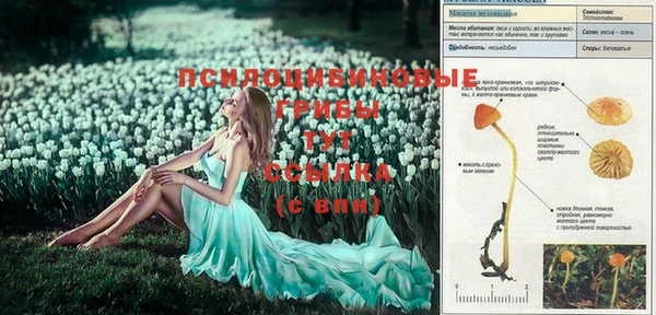 кокаин VHQ Касимов